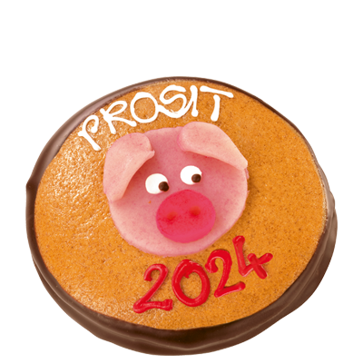Lucky Pig New Year Coin 